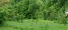  land Gabrovo 43 km from county center Gabrovo 