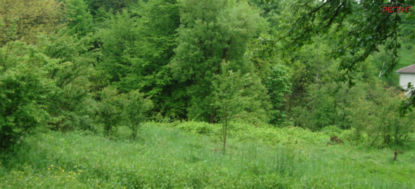  land Gabrovo 43 km from county center Gabrovo 