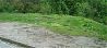  land Gabrovo 43 km from county center Gabrovo 