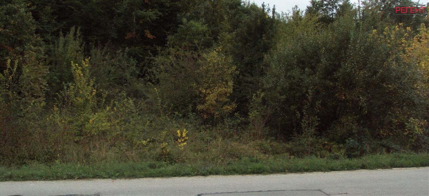  Gabrovo 35 km from county center Gabrovo 