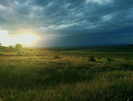 парцел, Община Габрово кв.Голо бърдо - Регент Недвижими Имоти парцел, Община Габрово кв.Голо бърдо - Регент Недвижими Имоти