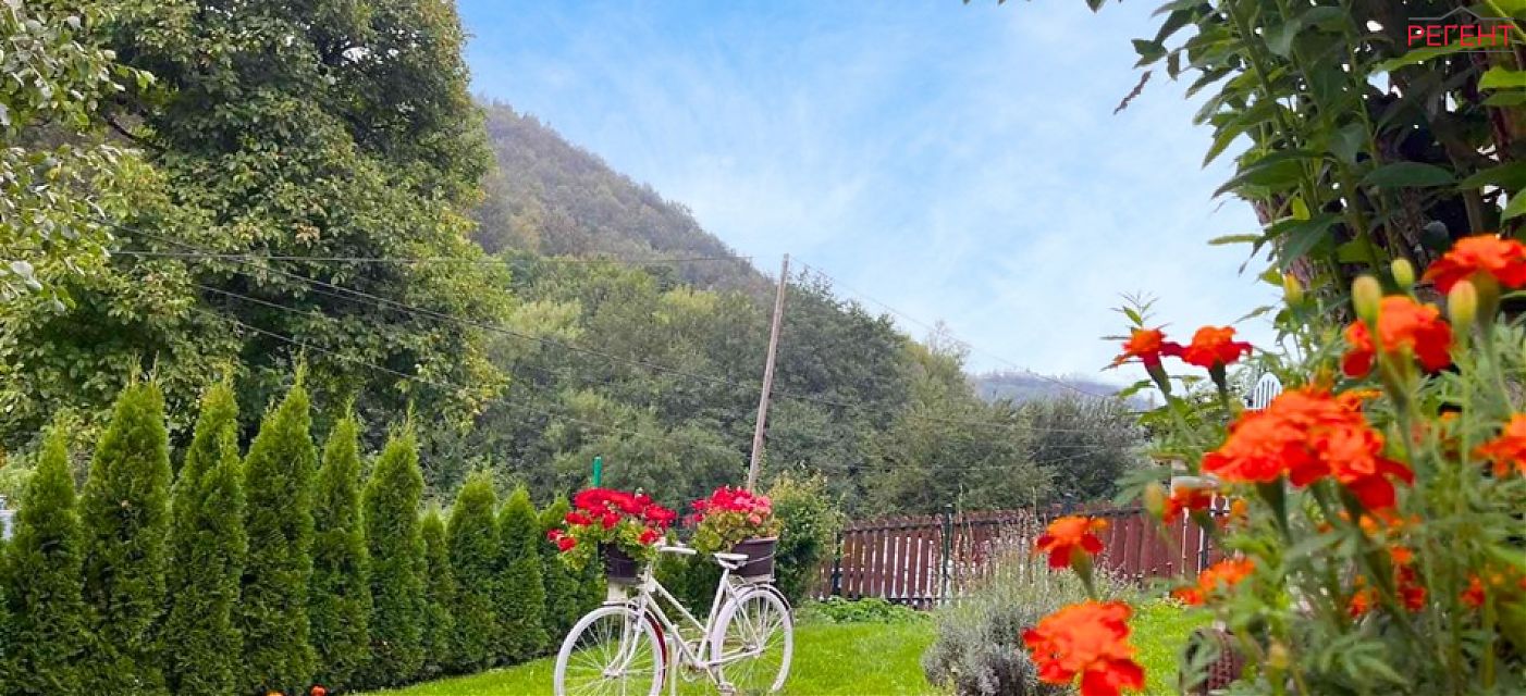  house Triavna 7 km from county center Triavna 