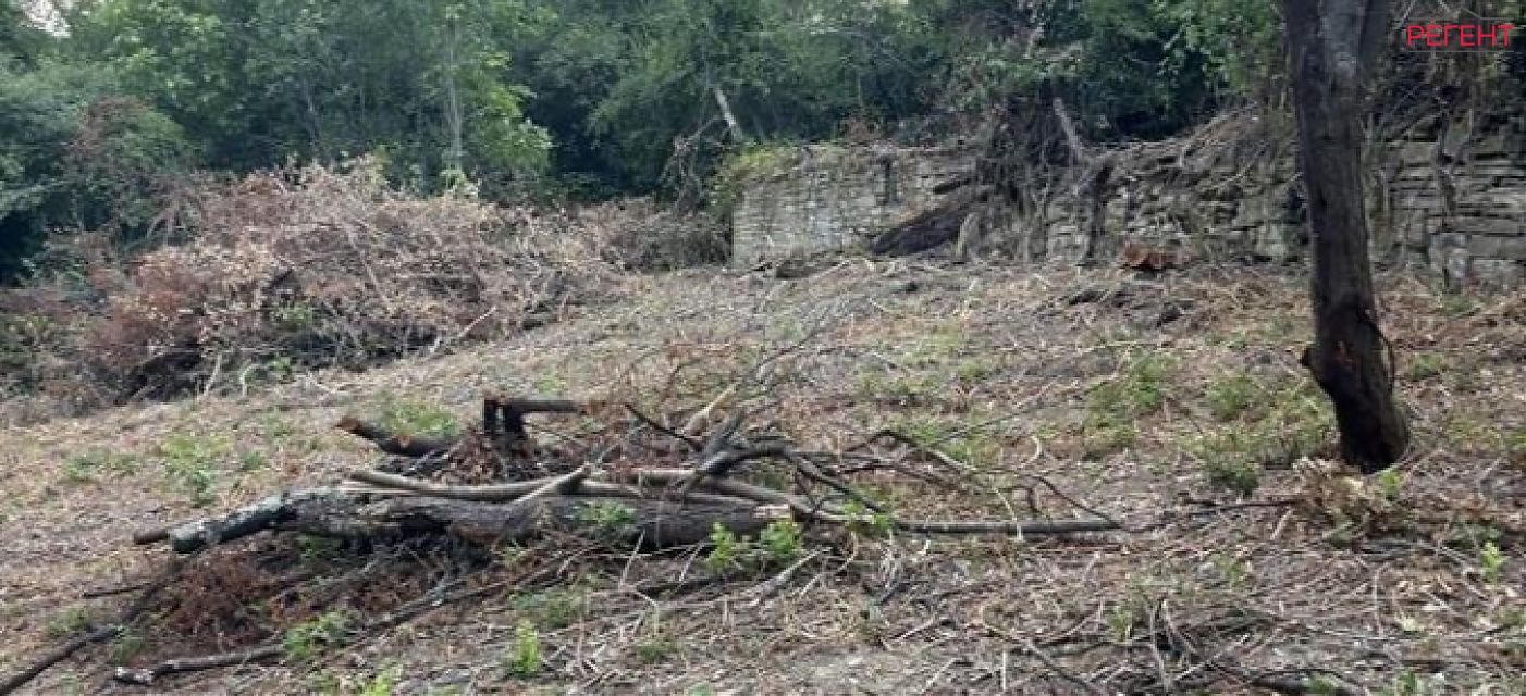  парцел Община Габрово 3 km от общ. център 