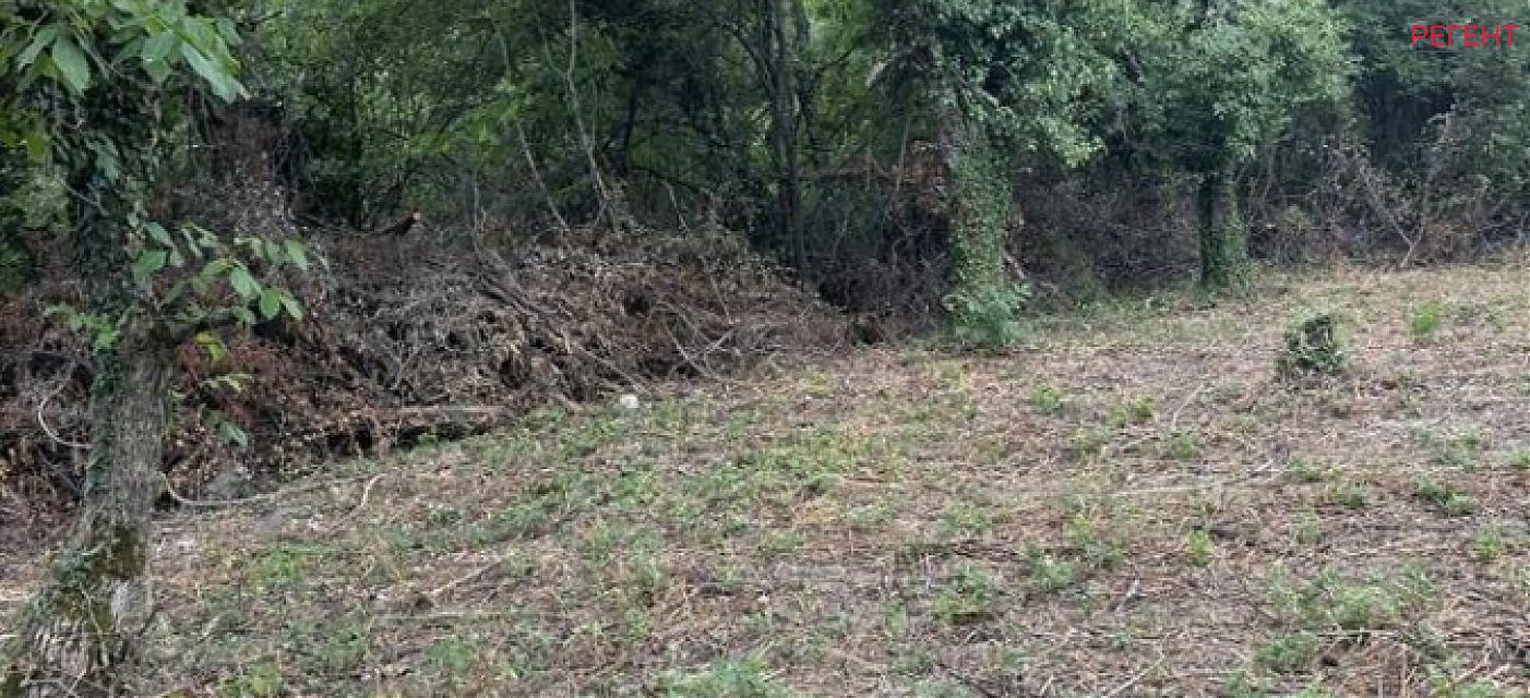  парцел Община Габрово 3 km от общ. център 