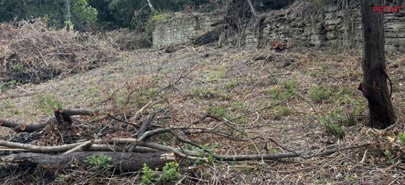  парцел Община Габрово 3 km от общ. център 