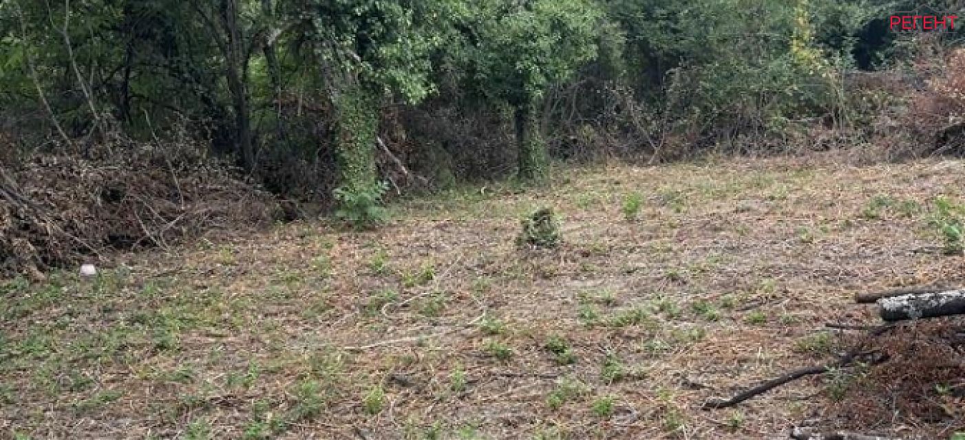  парцел Община Габрово 3 km от общ. център 