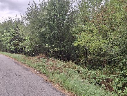 land, Gabrovo - REGENT Real Estate Agency