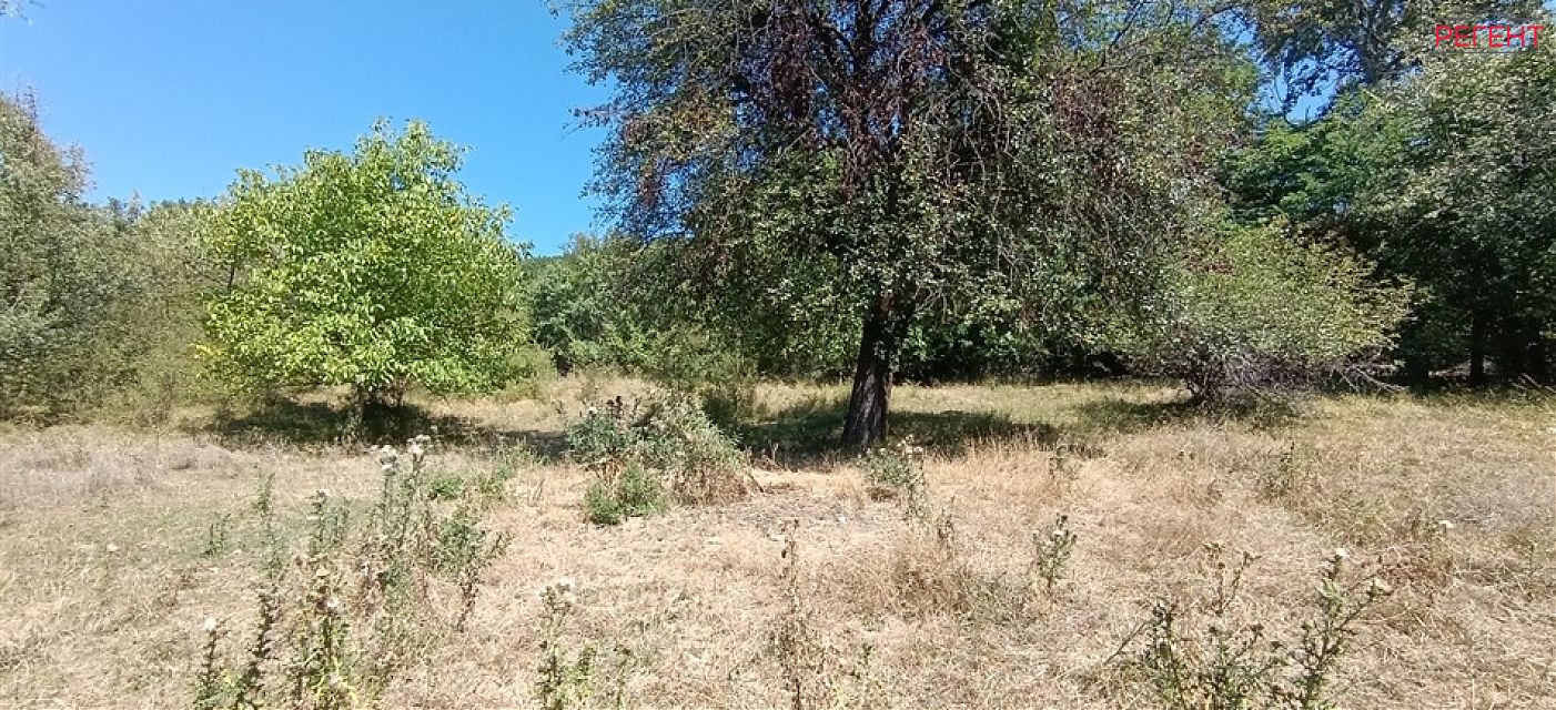  Gabrovo Gabrovo , Monev dol 