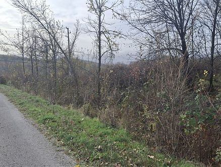 , Gabrovo - REGENT Real Estate Agency , Gabrovo - REGENT Real Estate Agency