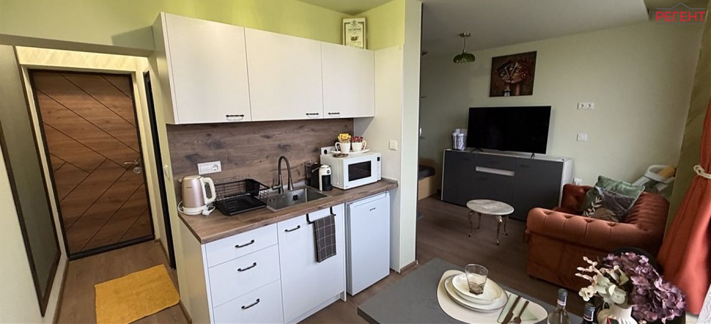 one-room apartment , 