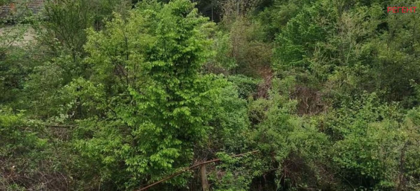  къща Община Габрово 6 km от общ. център 