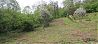  land Gabrovo 6 km from county center Gabrovo 