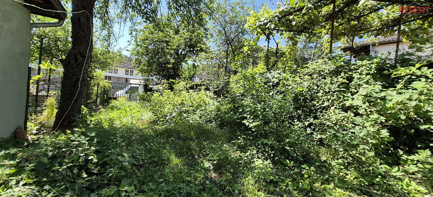  house Triavna Triavna 