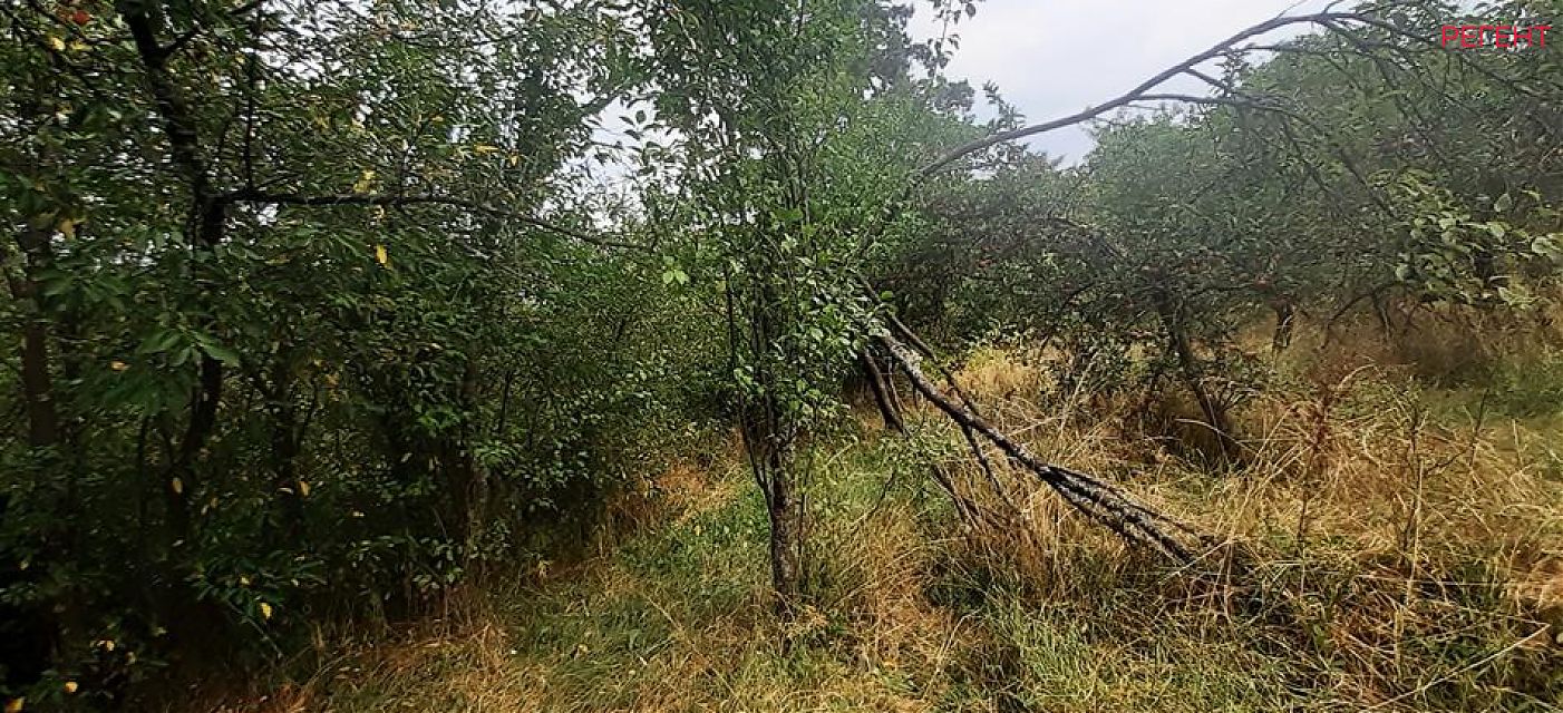  парцел Община Севлиево 40 km от общ. център 