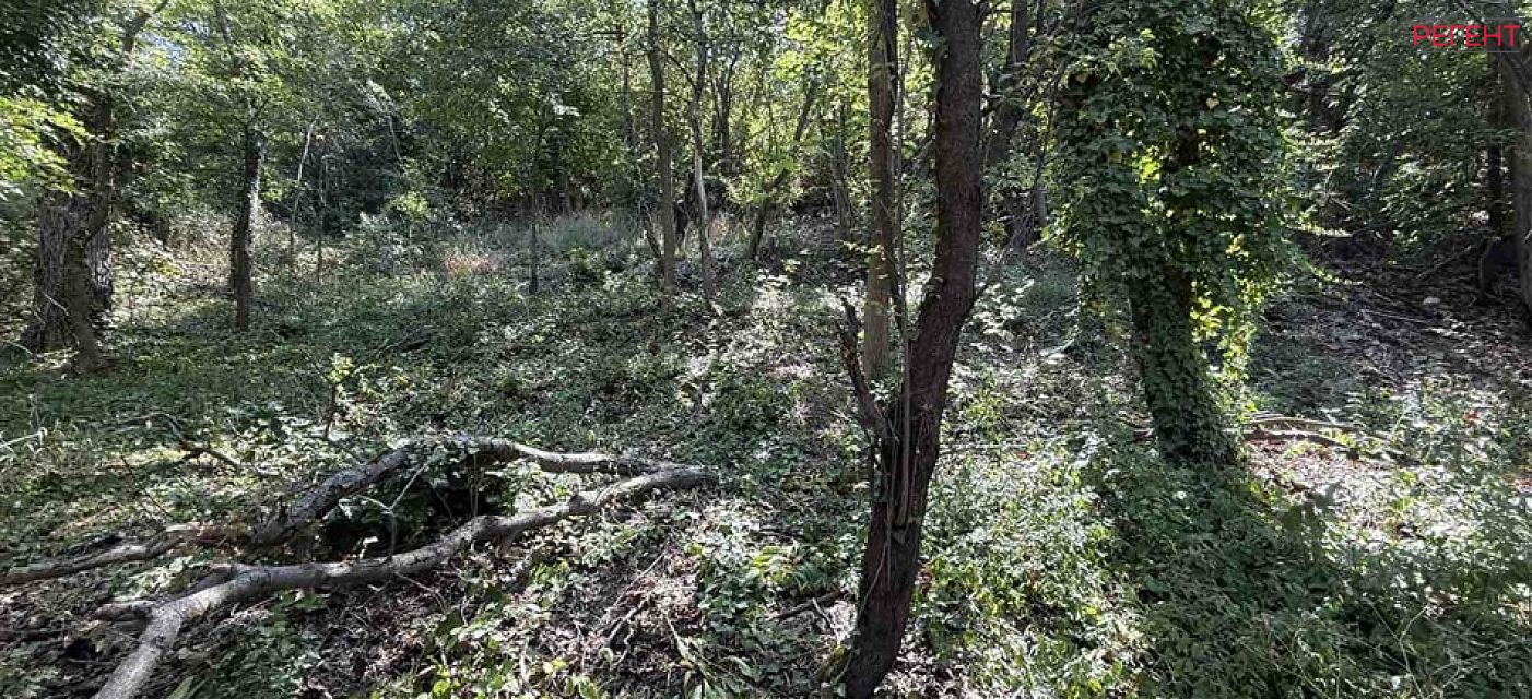  парцел Община Габрово гр.Габрово , кв.Петкова нива 