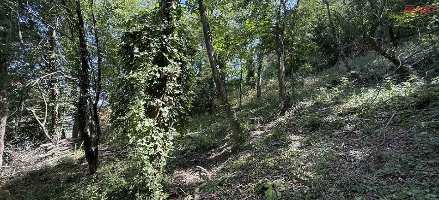  парцел Община Габрово гр.Габрово , кв.Петкова нива 