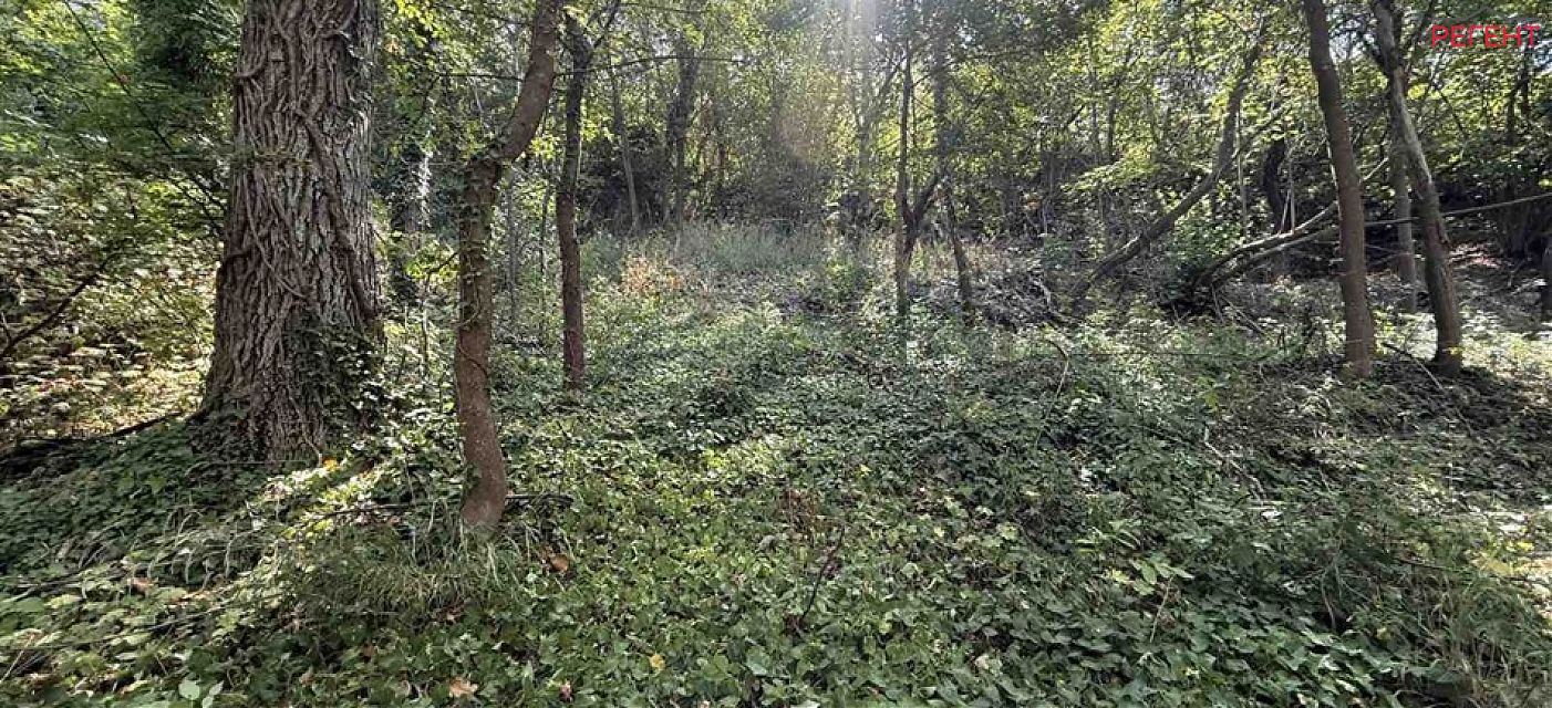  парцел Община Габрово гр.Габрово , кв.Петкова нива 