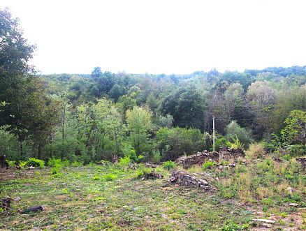 land, Drianovo - REGENT Real Estate Agency